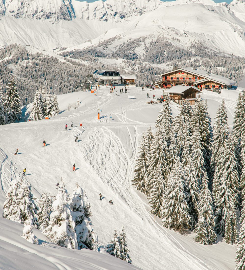 2501_AntoineBarbot_NeigeRocheBrune-8-2